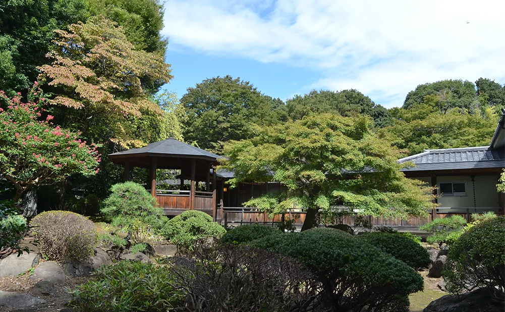 日本庭園の写真